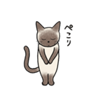 びびり猫のシャムちゃん（個別スタンプ：37）