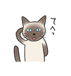 びびり猫のシャムちゃん（個別スタンプ：38）