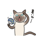 びびり猫のシャムちゃん（個別スタンプ：39）