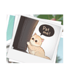 子猫の一言イラスト編-2（個別スタンプ：4）