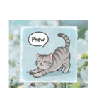 子猫の一言イラスト編-2（個別スタンプ：6）