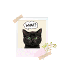 子猫の一言イラスト編-2（個別スタンプ：11）