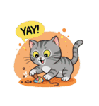 子猫の一言イラスト編-2（個別スタンプ：19）