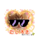oirann9（個別スタンプ：11）