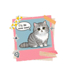子猫の一言イラスト編-3（個別スタンプ：11）