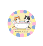 子猫の一言イラスト編-3（個別スタンプ：15）