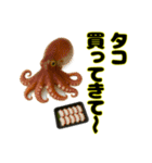 買ってきて シリーズ（海の幸 編）（個別スタンプ：7）