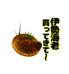 買ってきて シリーズ（海の幸 編）（個別スタンプ：15）