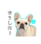 フレブルのむぎちゃん♡ワクワクスタンプ♪（個別スタンプ：2）