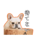 フレブルのむぎちゃん♡ワクワクスタンプ♪（個別スタンプ：4）