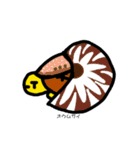 かめこれー5（個別スタンプ：16）