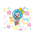 oirann11（個別スタンプ：1）