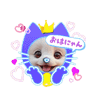 oirann11（個別スタンプ：2）