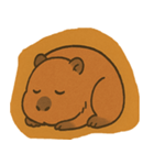 カピバラ弟くん（個別スタンプ：1）