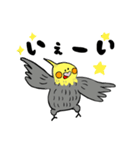 オカメインコのカメ夫（個別スタンプ：2）