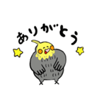 オカメインコのカメ夫（個別スタンプ：3）