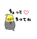 オカメインコのカメ夫（個別スタンプ：10）