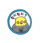 オカメインコのカメ夫（個別スタンプ：13）