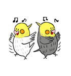 オカメインコのカメ夫（個別スタンプ：14）