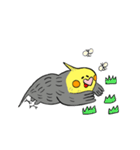 オカメインコのカメ夫（個別スタンプ：15）