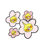 オカメインコのカメ夫（個別スタンプ：16）
