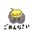 オカメインコのカメ夫（個別スタンプ：21）