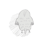 オカメインコのカメ夫（個別スタンプ：23）
