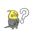 オカメインコのカメ夫（個別スタンプ：24）