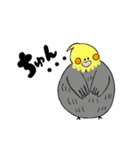 オカメインコのカメ夫（個別スタンプ：26）