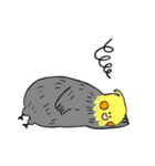オカメインコのカメ夫（個別スタンプ：27）