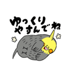 オカメインコのカメ夫（個別スタンプ：28）