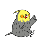 オカメインコのカメ夫（個別スタンプ：29）