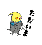 オカメインコのカメ夫（個別スタンプ：32）