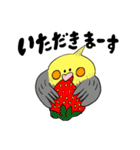 オカメインコのカメ夫（個別スタンプ：35）