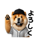リアル野球チャウチャウ（個別スタンプ：3）