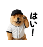 リアル野球チャウチャウ（個別スタンプ：4）