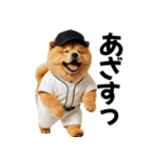 リアル野球チャウチャウ（個別スタンプ：8）