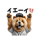 リアル野球チャウチャウ（個別スタンプ：13）