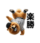 リアル野球チャウチャウ（個別スタンプ：19）
