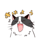 ラグドールさんとおもちゃ（個別スタンプ：4）
