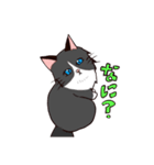 ラグドールさんとおもちゃ（個別スタンプ：7）