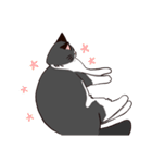 ラグドールさんとおもちゃ（個別スタンプ：15）