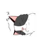 ラグドールさんとおもちゃ（個別スタンプ：23）