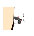 ラグドールさんとおもちゃ（個別スタンプ：28）