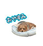 ふうさん。（個別スタンプ：2）