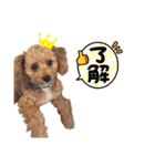 ふうさん。（個別スタンプ：5）