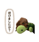 ふうさん。（個別スタンプ：6）