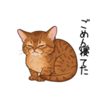 汎用アビシニアンスタンプ2（個別スタンプ：32）