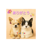 チワワくんと猫ちゃん(実写ver.)（個別スタンプ：2）