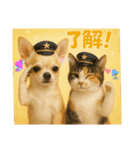 チワワくんと猫ちゃん(実写ver.)（個別スタンプ：5）